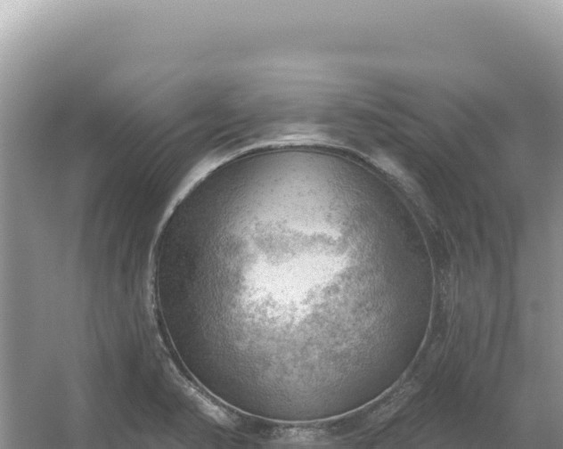 X0000054401374200508051702