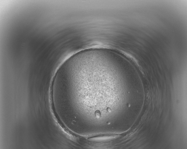 X0000054401375200508051702