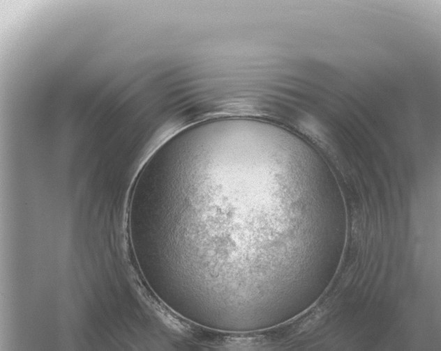 X0000054401378200508051702