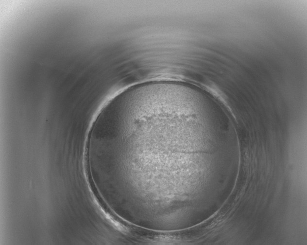 X0000054401379200508051702