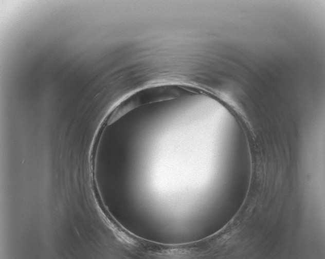 X0000054401380200508051702