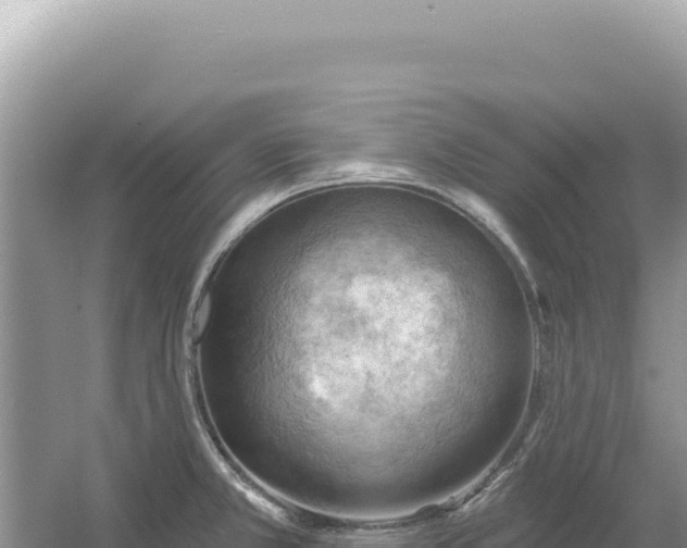 X0000054401381200508051702