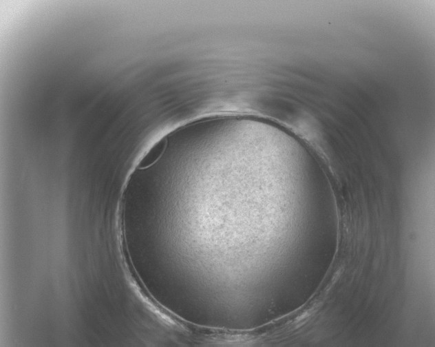 X0000054401382200508051702