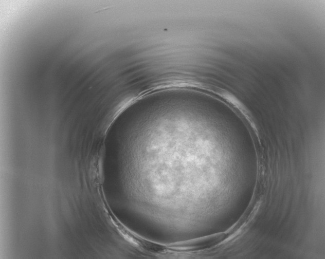 X0000054401385200508051702