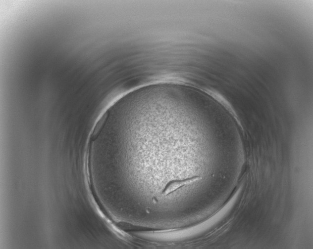 X0000054401391200508051702