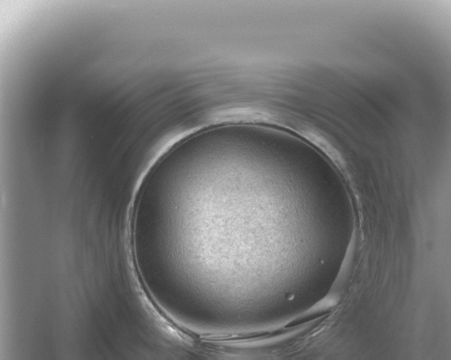 X0000054401392200508051702