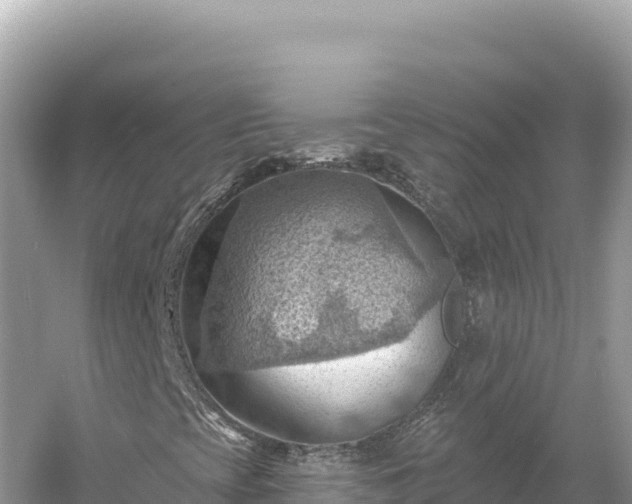 X0000054401393200508051701