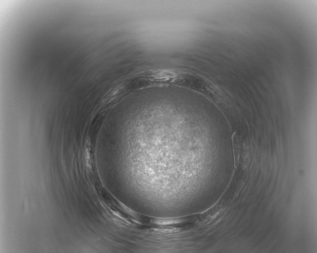 X0000054401394200508051701