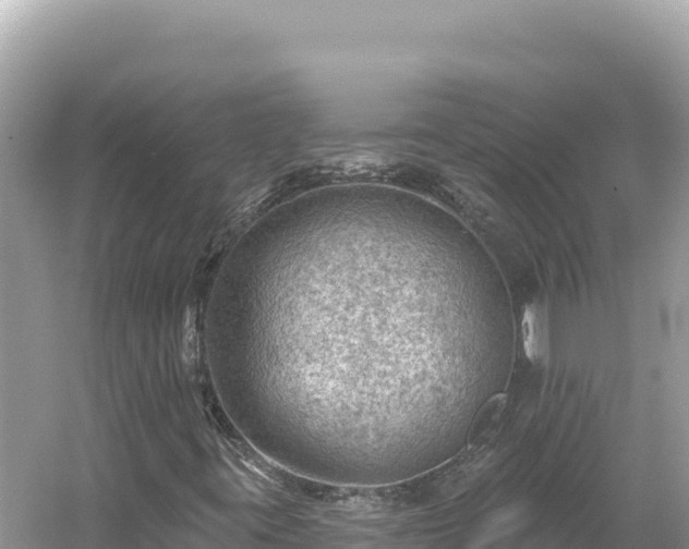 X0000054401395200508051701