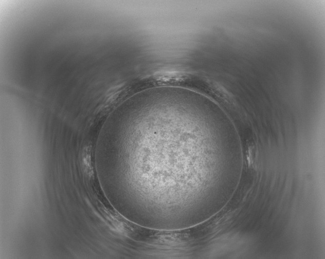 X0000054401396200508051701