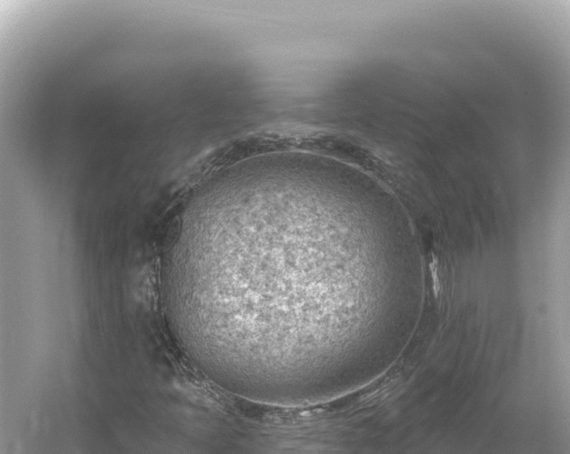 X0000054401397200508051701