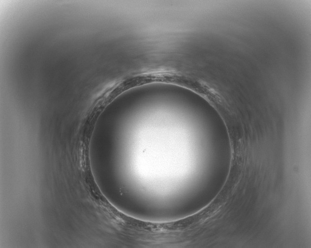 X0000054401398200508051701