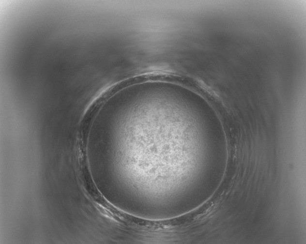 X0000054401400200508051701