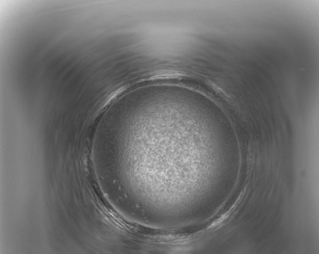 X0000054401401200508051701