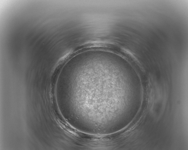 X0000054401403200508051701