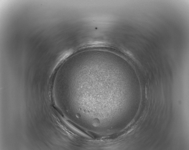 X0000054401405200508051701