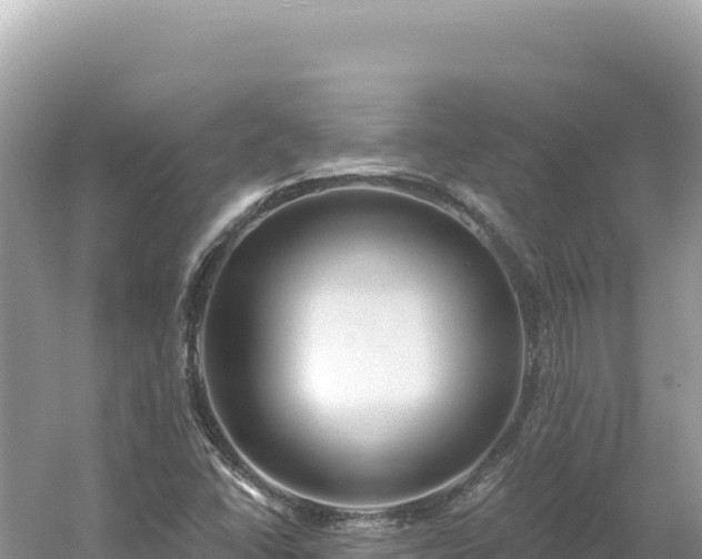 X0000054401406200508051701