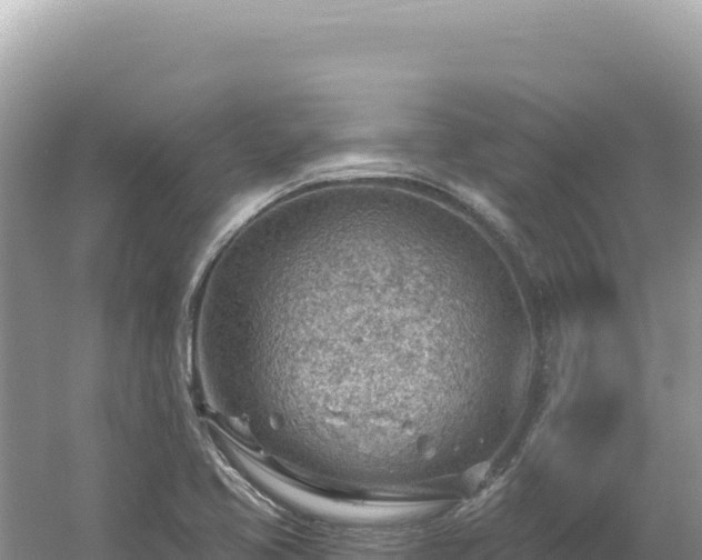 X0000054401413200508051701