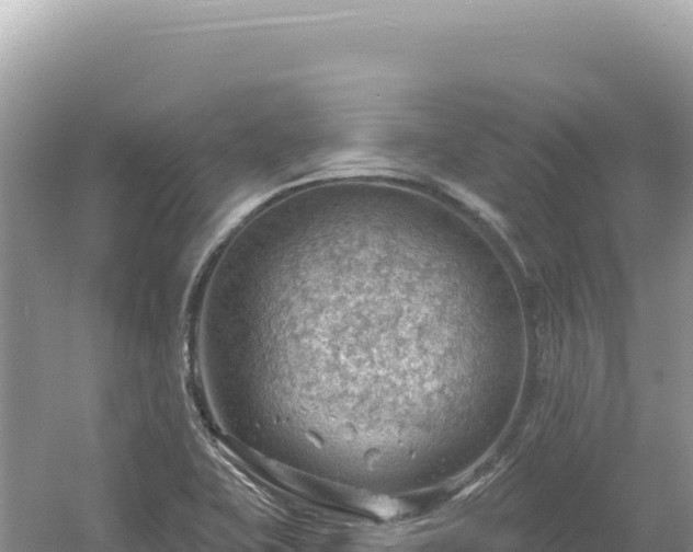 X0000054401415200508051701