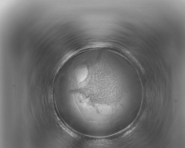 X0000054401417200508051701