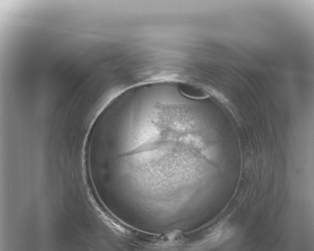 X0000054401423200508051702