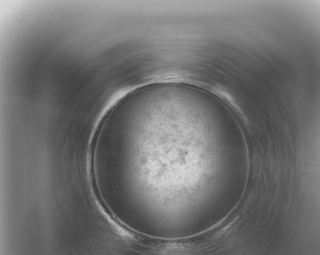 X0000054401424200508051702