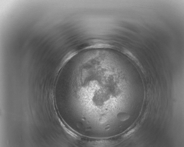 X0000054401425200508051702