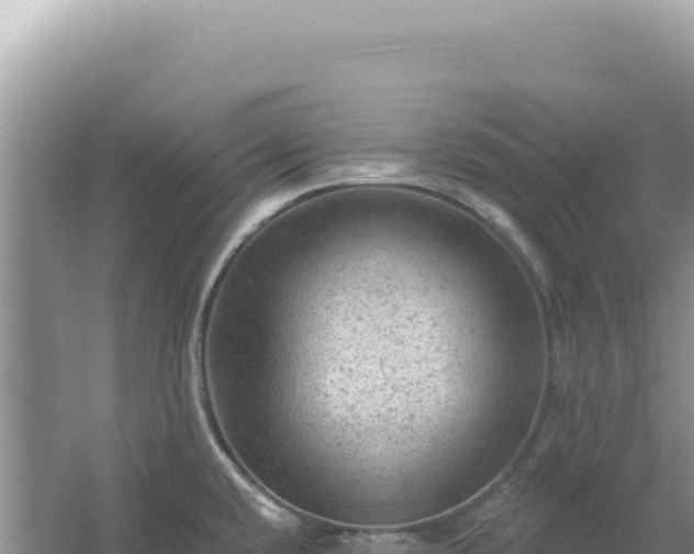 X0000054401432200508051702