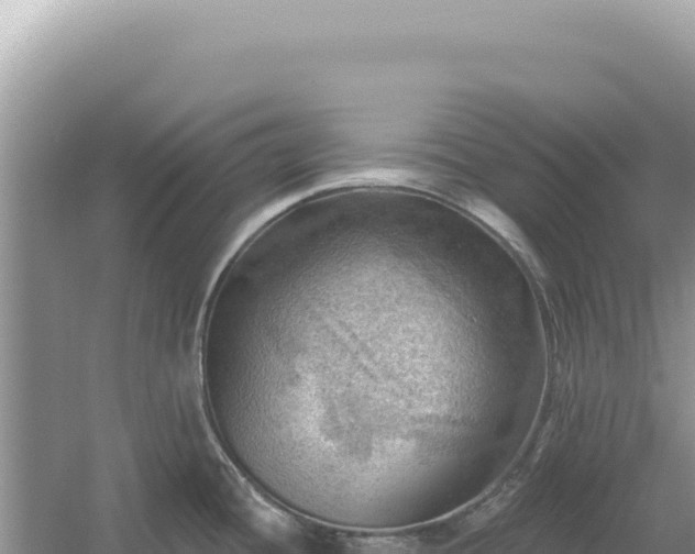 X0000054401436200508051702