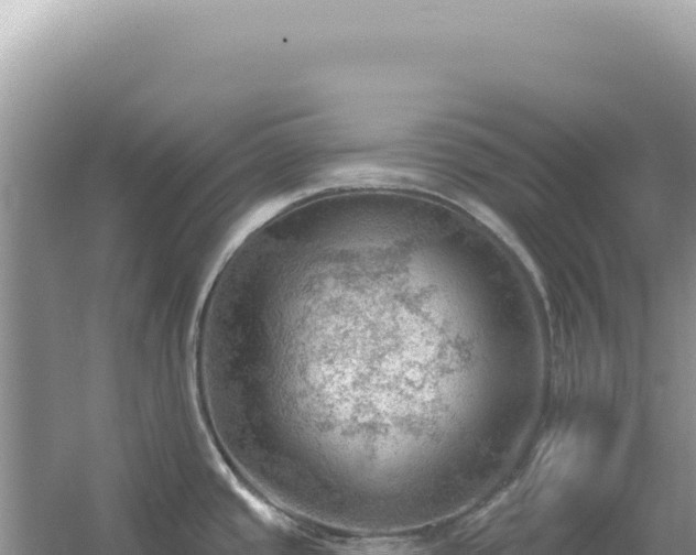 X0000054401437200508051702