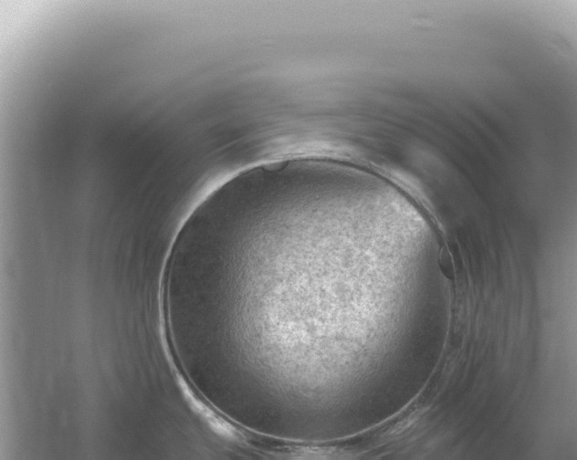 X0000054401439200508051702