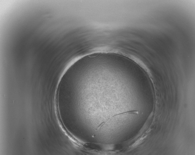 X0000054401440200508051702