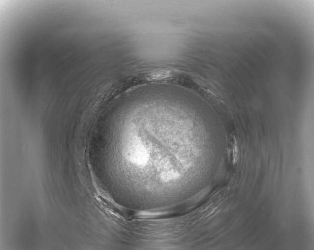 X0000054401441200508051701