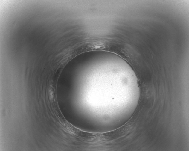 X0000054401442200508051701