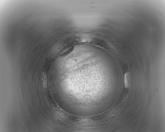 X0000054401443200508051701