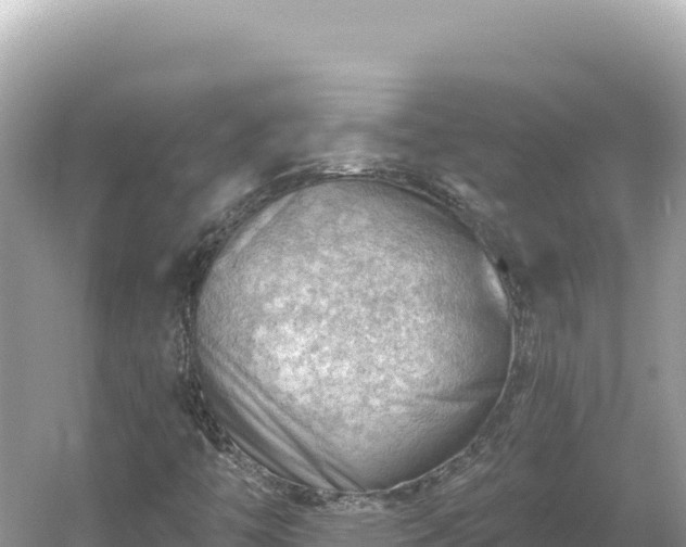 X0000054401446200508051701