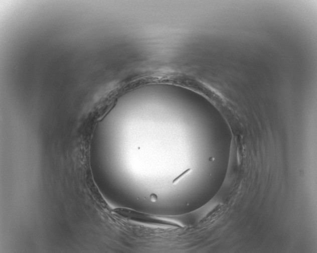 X0000054401447200508051701