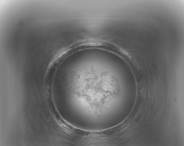 X0000054401448200508051701