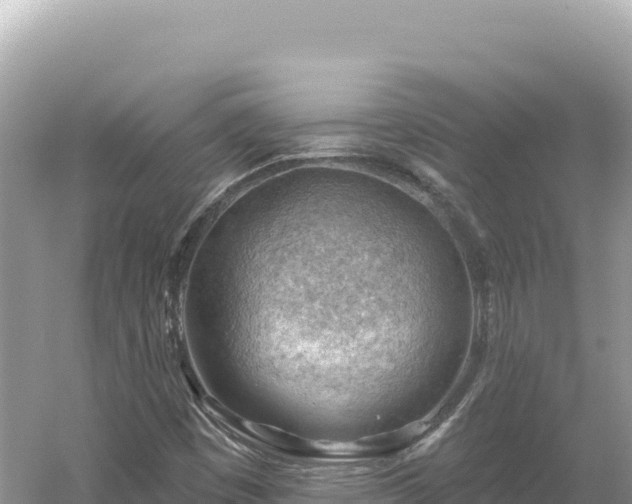 X0000054401449200508051701