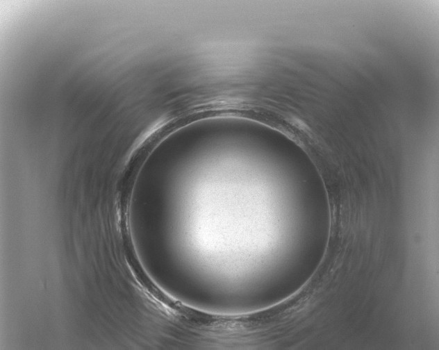 X0000054401450200508051701