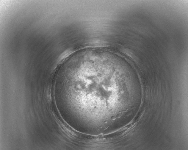 X0000054401451200508051701