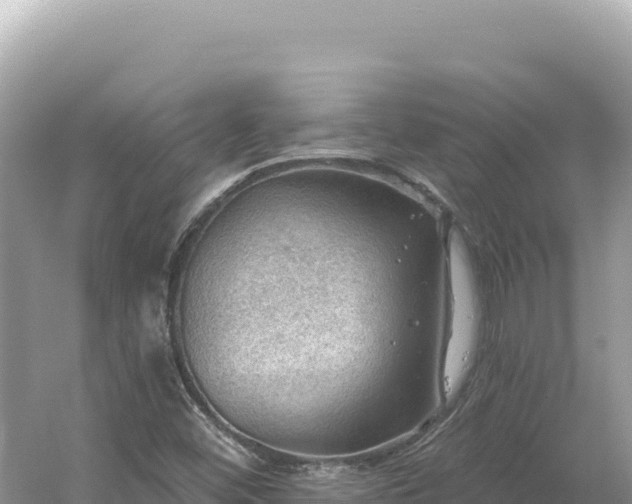 X0000054401452200508051701