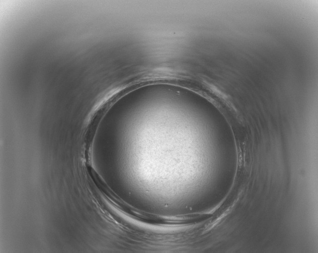 X0000054401453200508051701