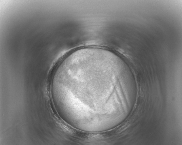 X0000054401454200508051701