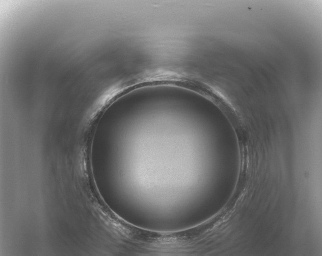 X0000054401455200508051701