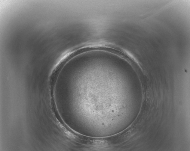 X0000054401456200508051701