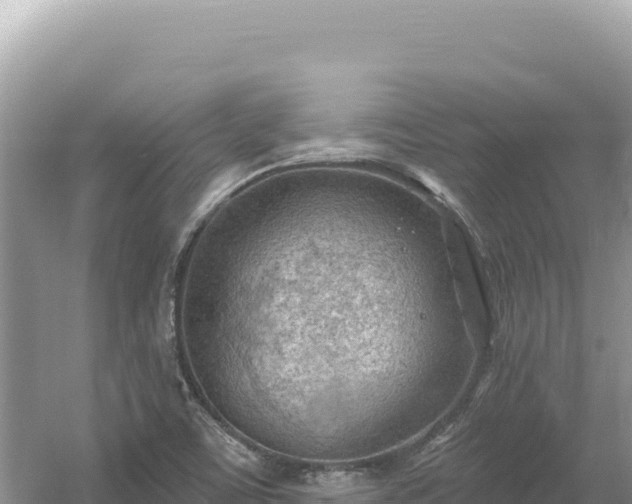 X0000054401459200508051701