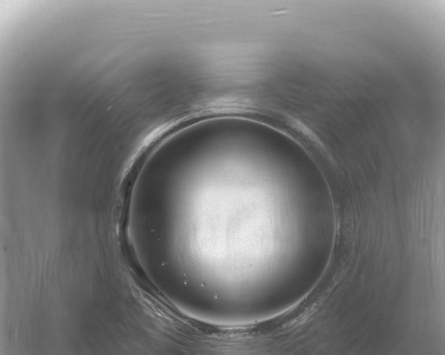 X0000054401461200508051701