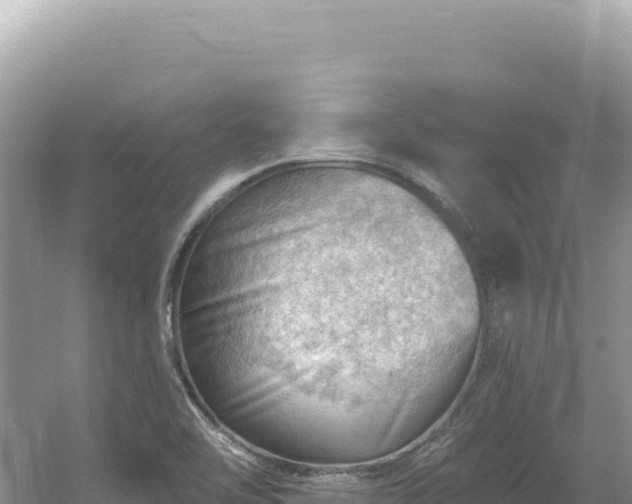 X0000054401462200508051701