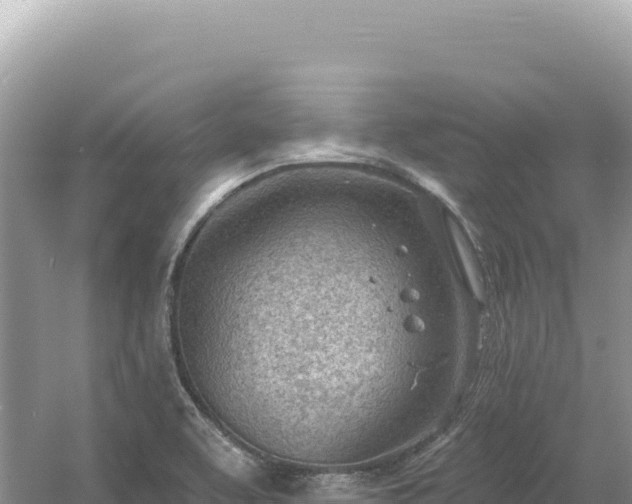 X0000054401463200508051701